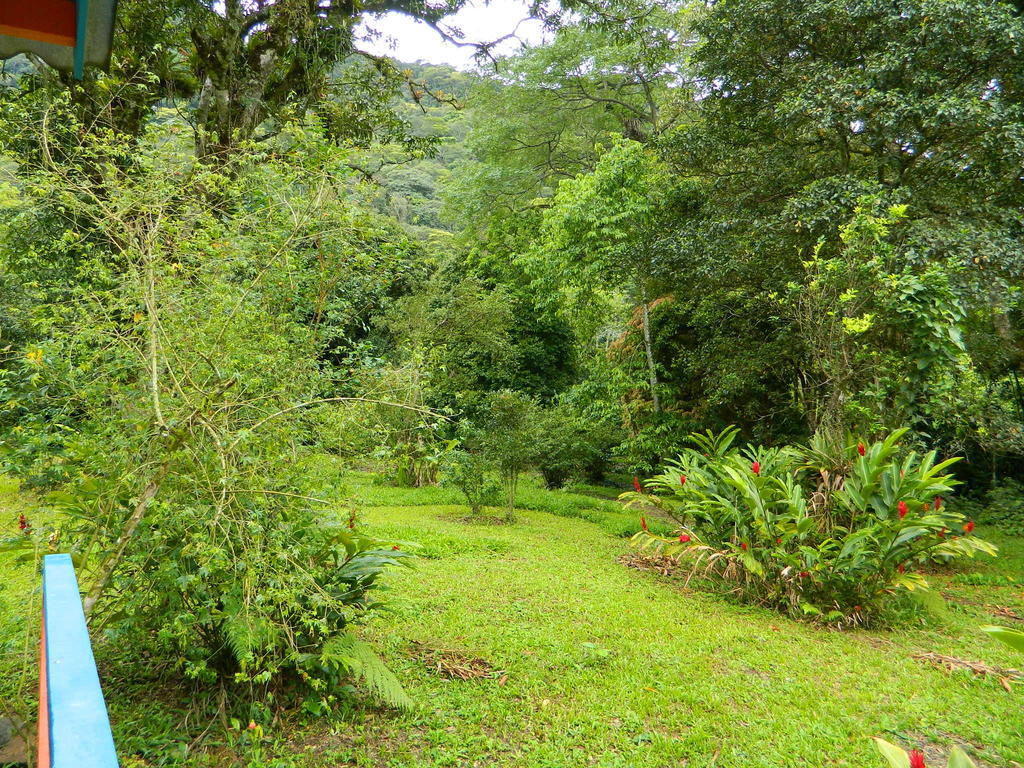 Bicho Do Mato Suites Guapimirim Eksteriør billede