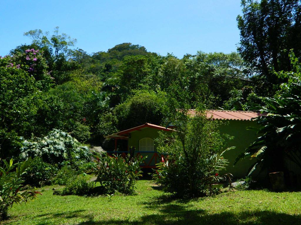 Bicho Do Mato Suites Guapimirim Eksteriør billede